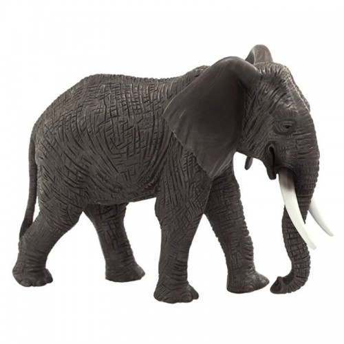 Elefante Africano